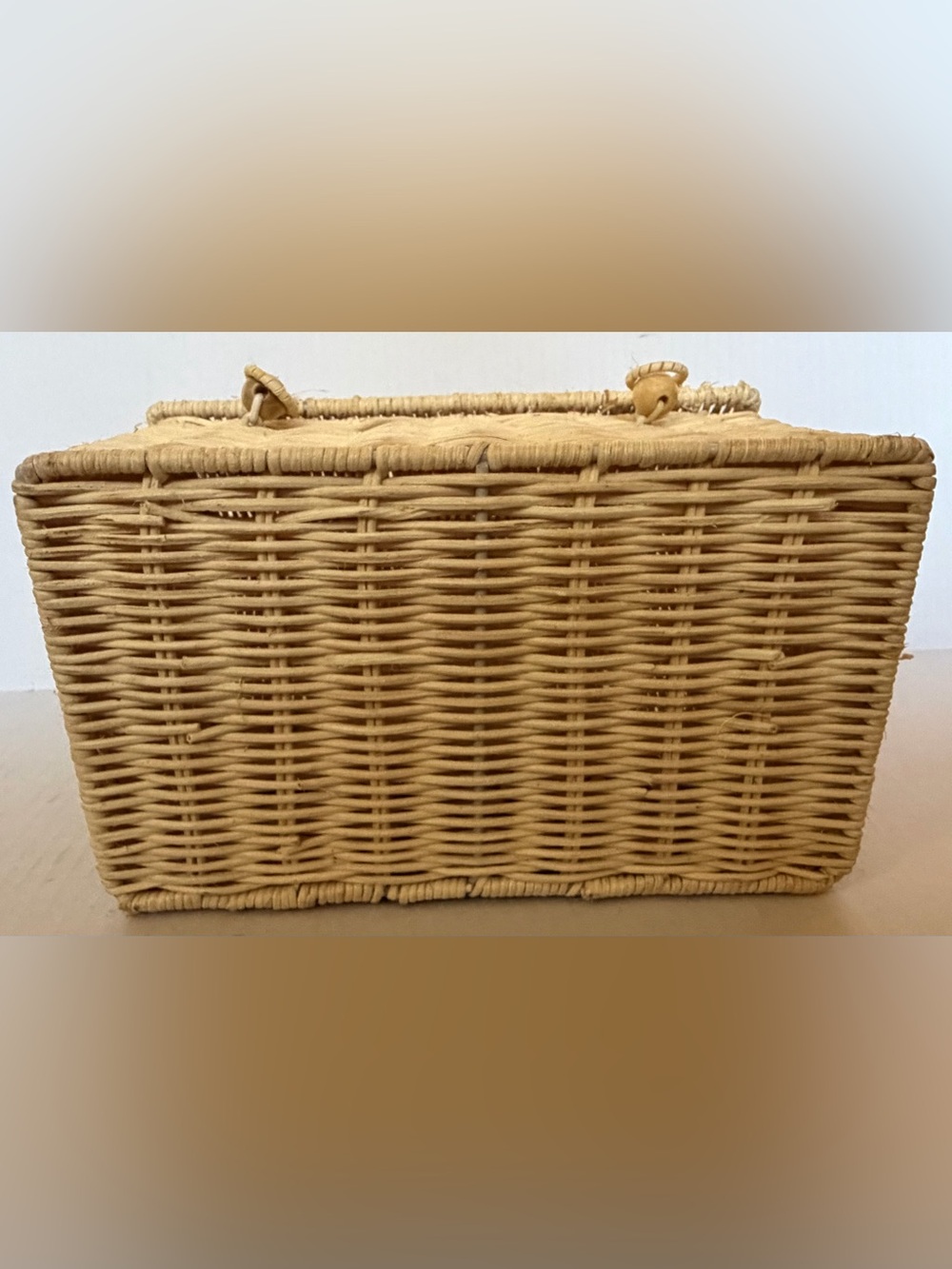 Woven Rattan House Casa Clutch Basket Bag Cottagecore Wicker Dollhouse Purse - Picture 6 of 6
